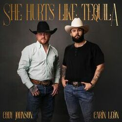 Cover of She Hurts Like Tequila