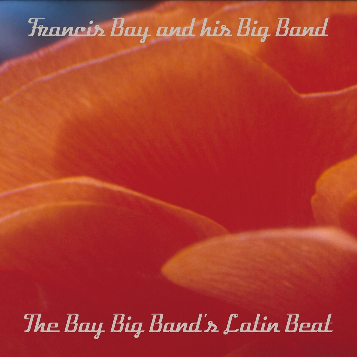 Album cover of Guaglione