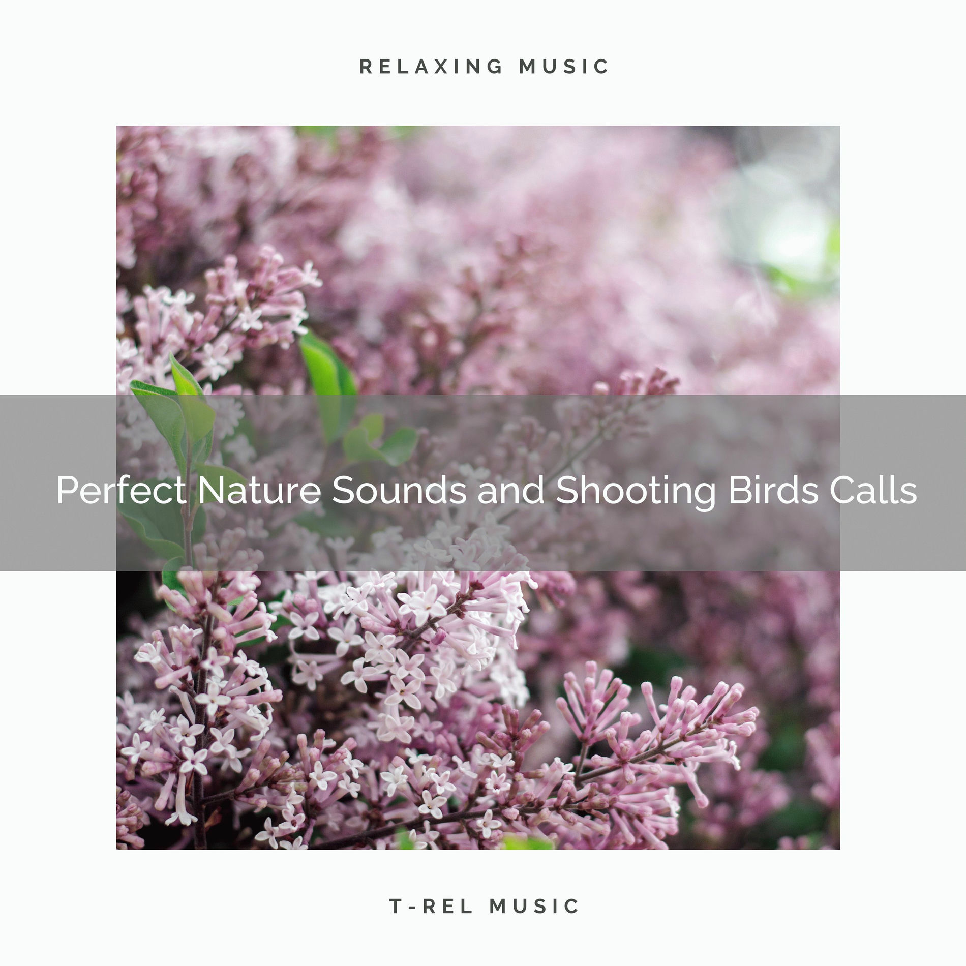 Album cover of ! ! ! ! ! Perfect Nature Sounds and Shooting Birds Calls