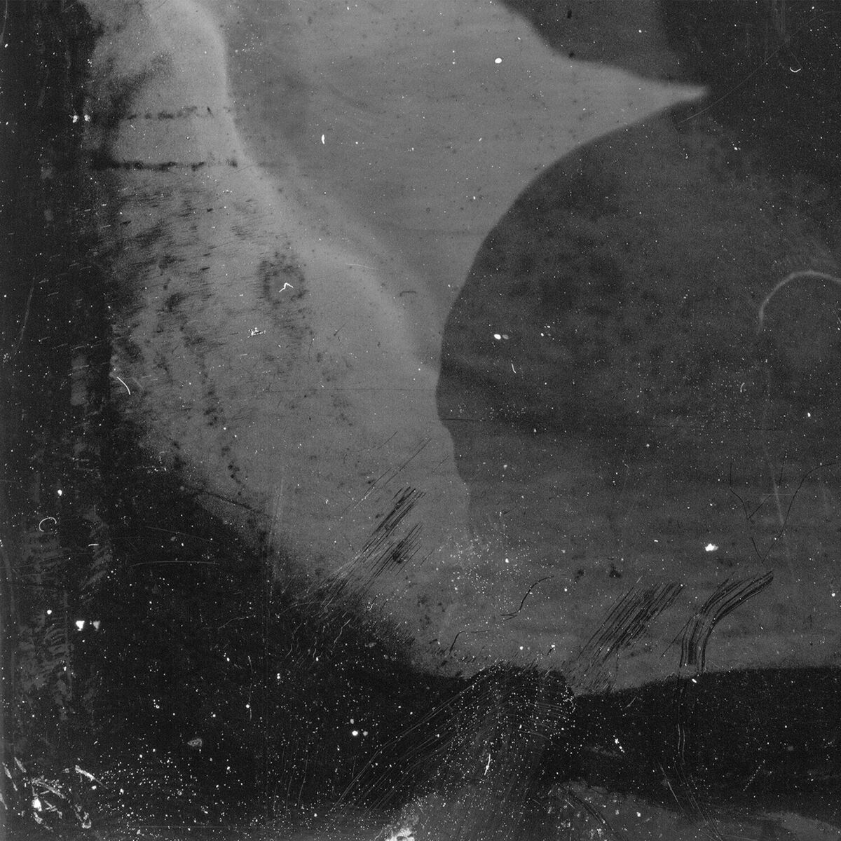 Album cover of Vanessa