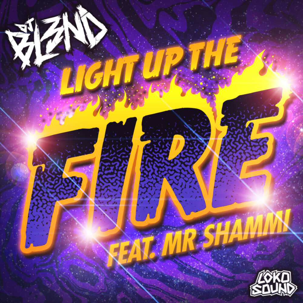 Picture of Light Up The Fire (feat. Mr. Shammi)