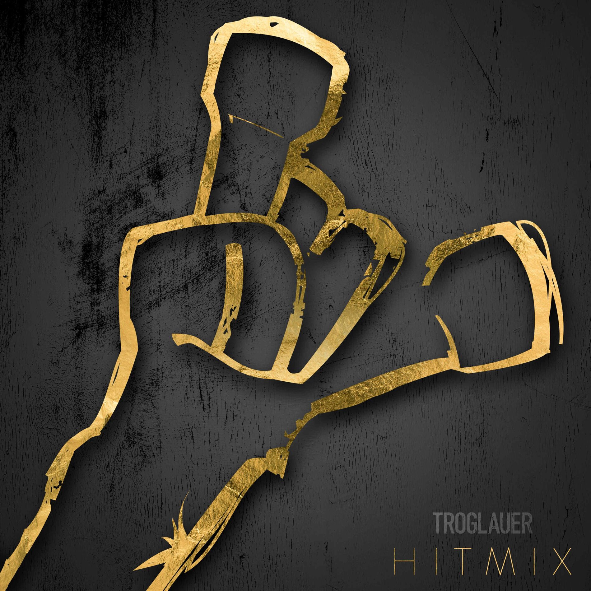 Album cover of Troglauer Hit Mix