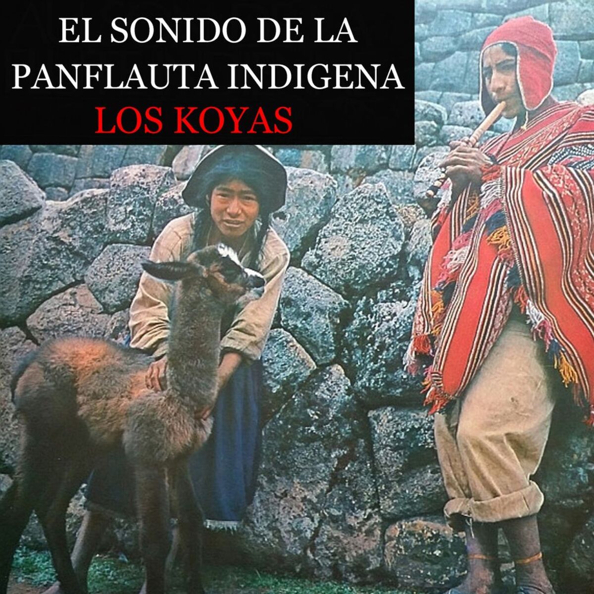 Album cover of El sonido de la panflauta indigena