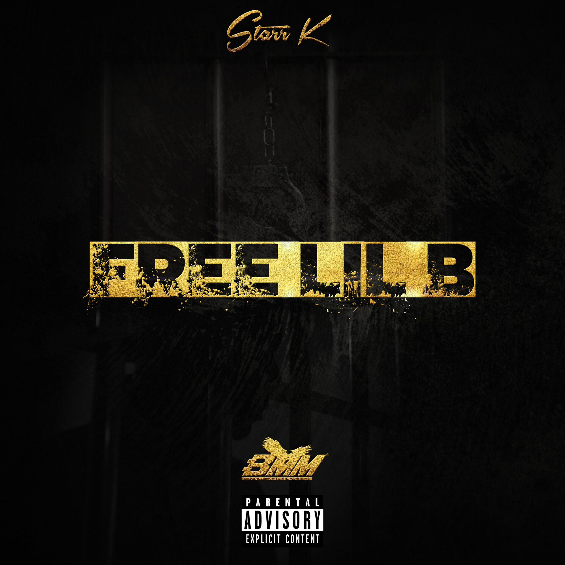 Album cover of Free Lil B