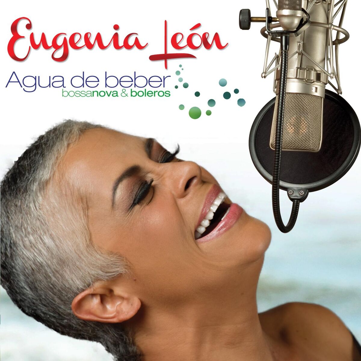 Album cover of La Chica De Ipanema