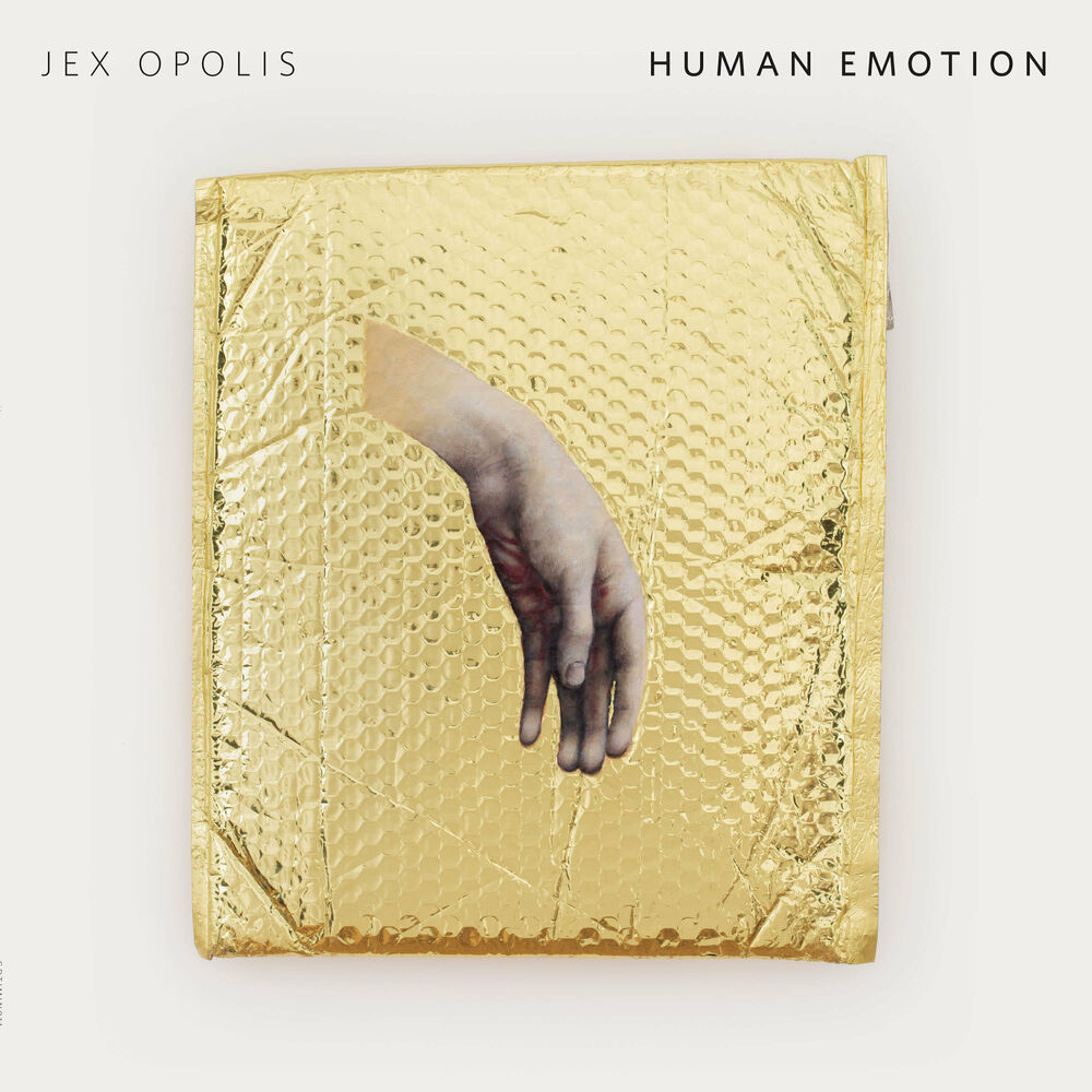 Picture of Human Emotion