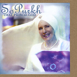 Cover of Sopurkh 11 - Single