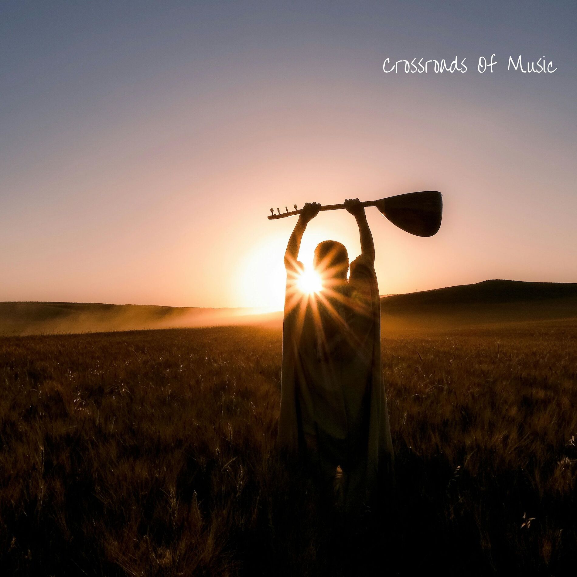 Album cover of Crossroads Of Music