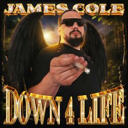 Cover of DOWN4LIFE