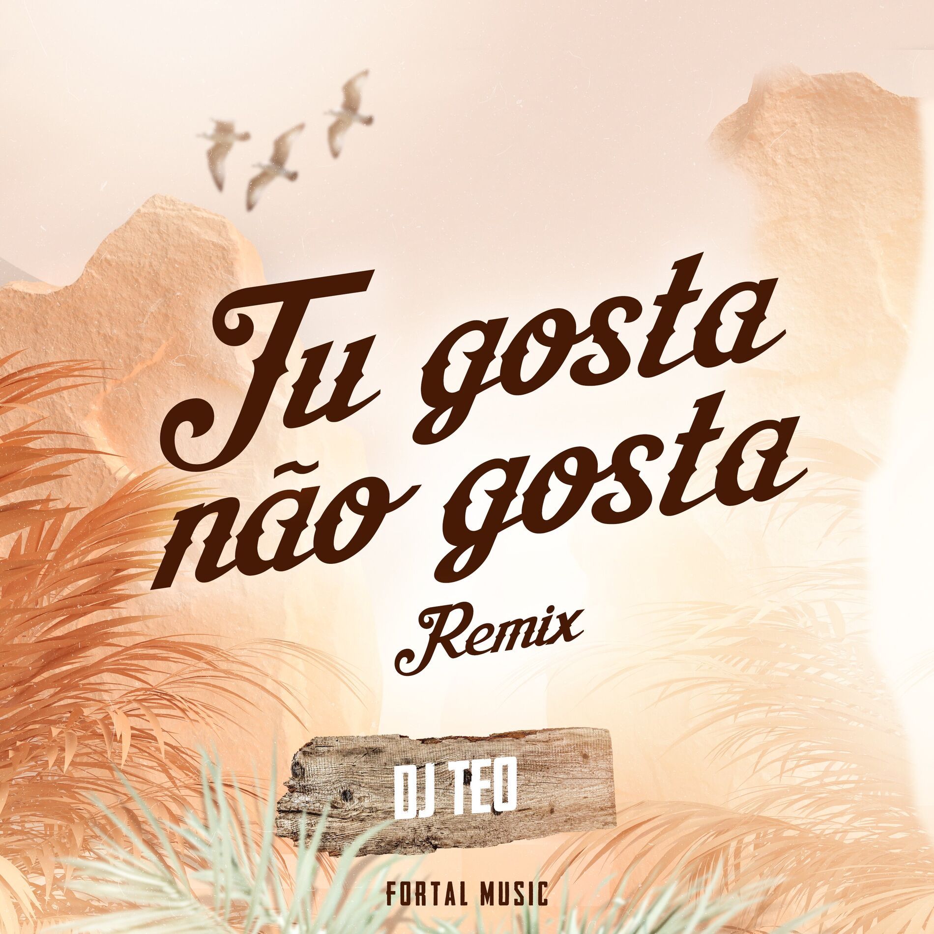 Album cover of Tu Gosta Não Gosta (Remix)