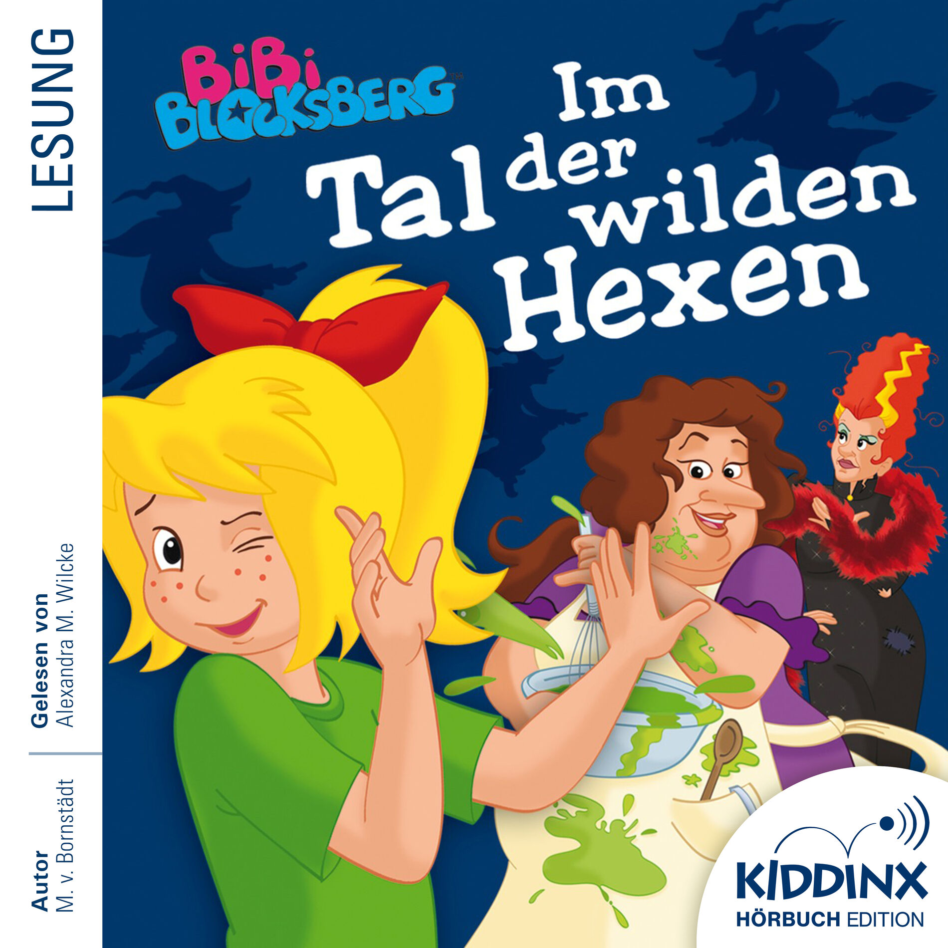 Album cover of Kapitel 01: Im Tal der wilden Hexen