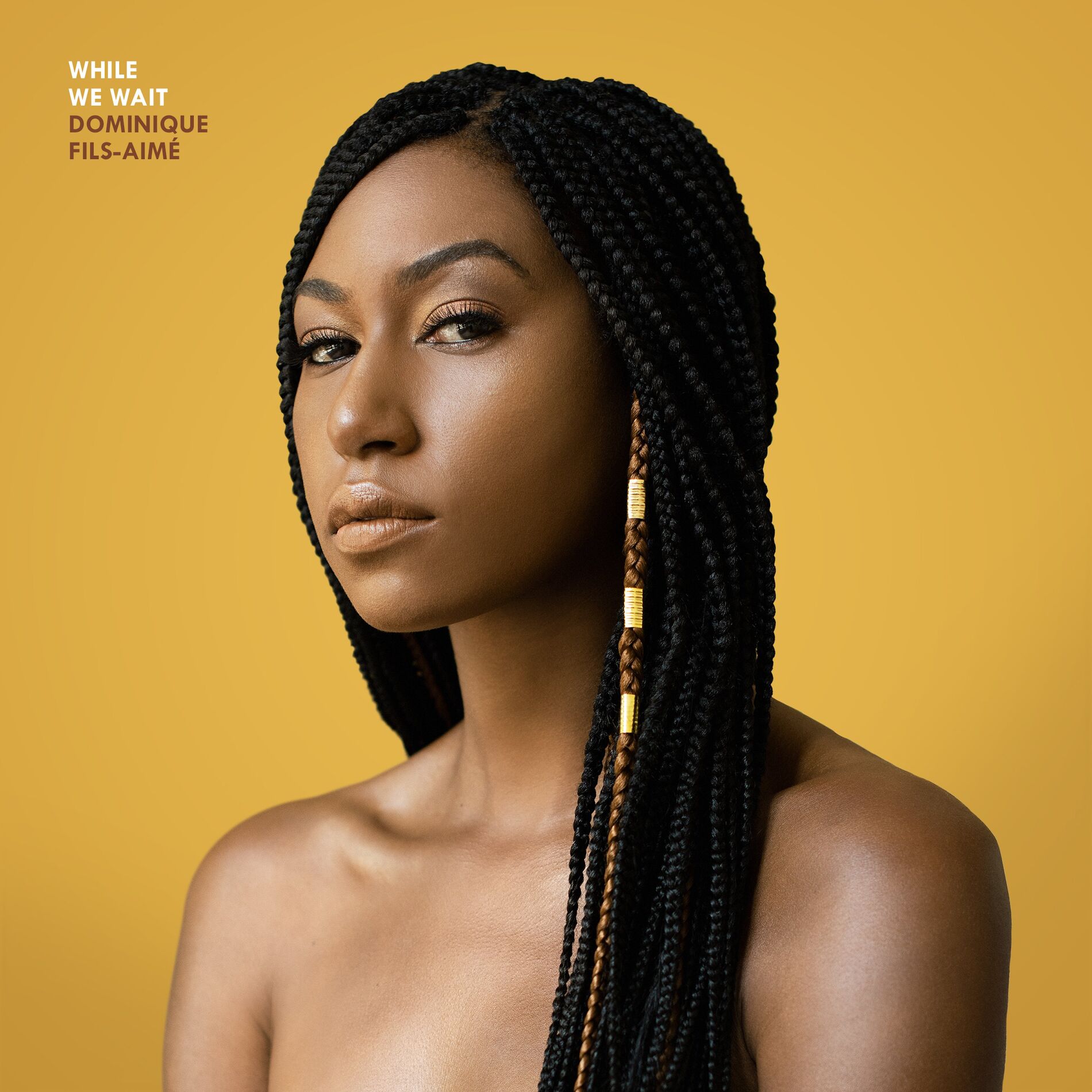 Album cover of While We Wait