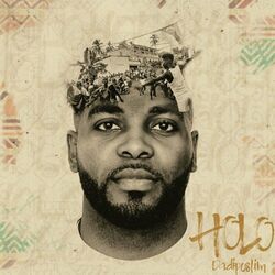 Cover of Holo
