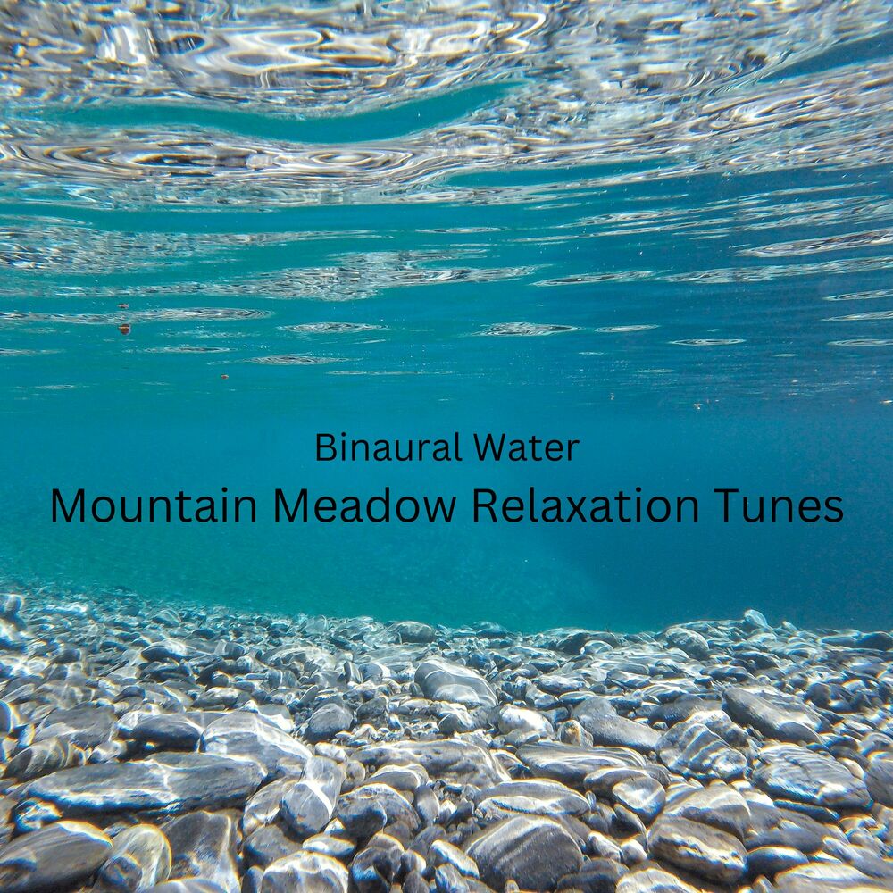 Picture of Binaural Water: Mountain Meadow Relaxation Tunes