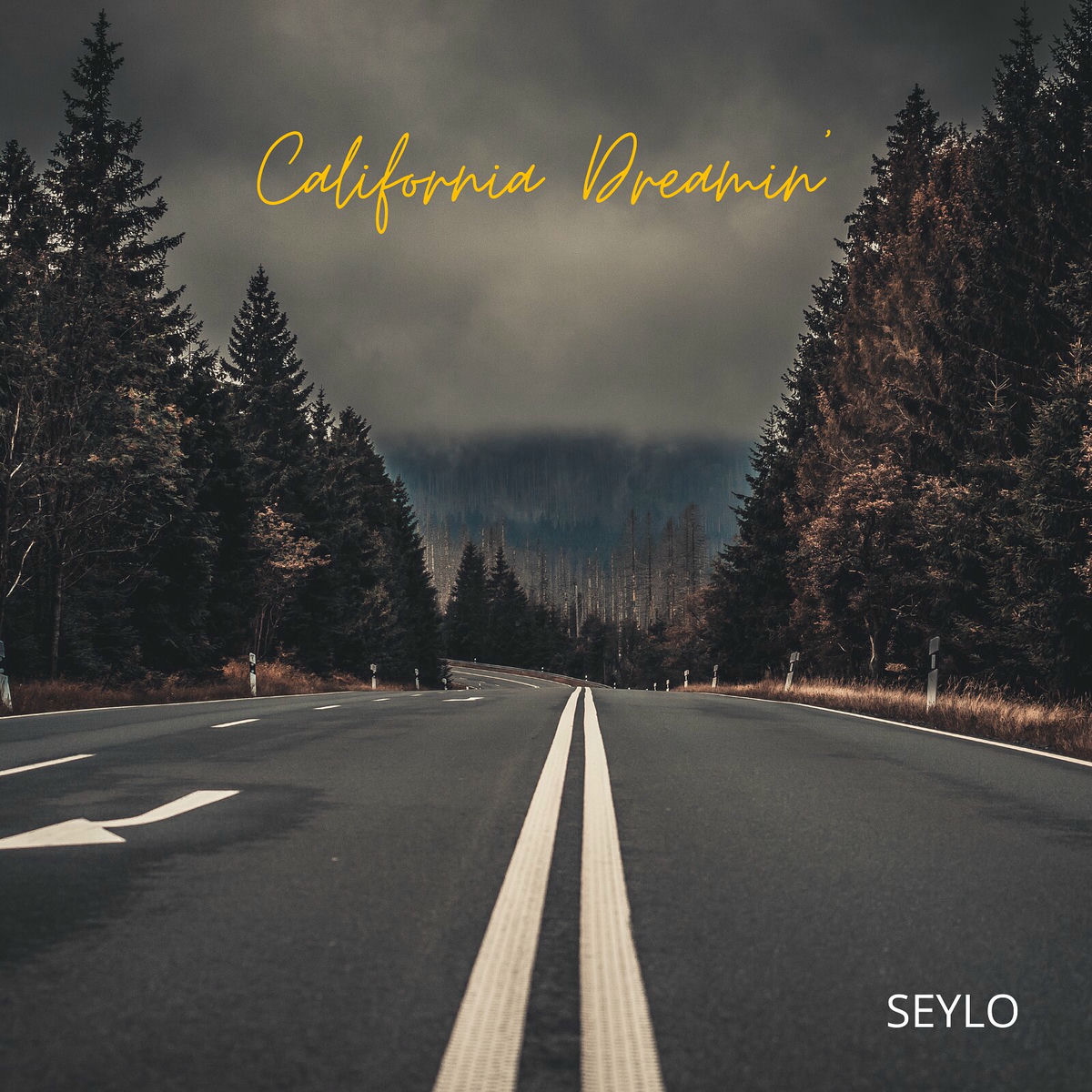 Album cover of California Dreamin’