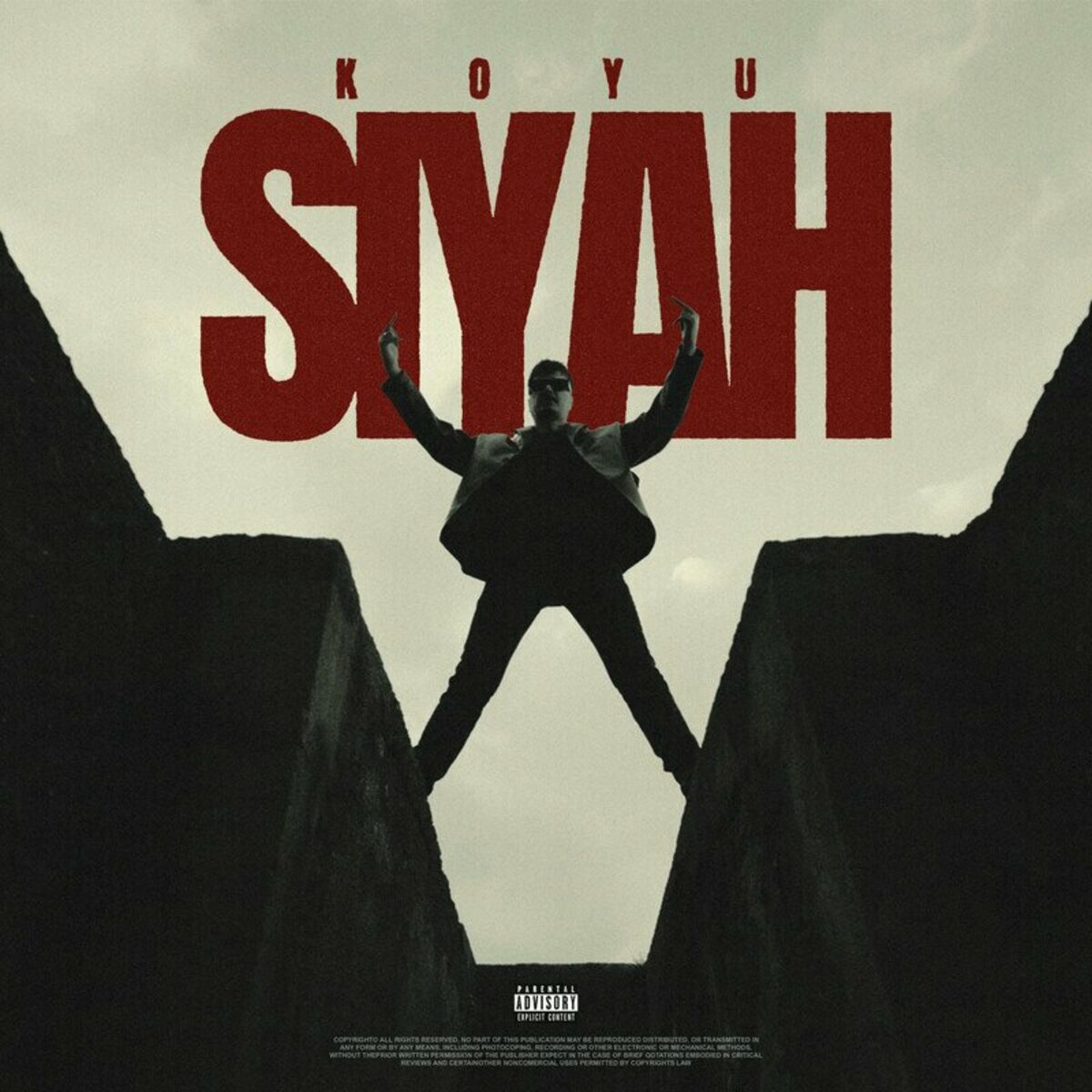 Album cover of Koyu Siyah