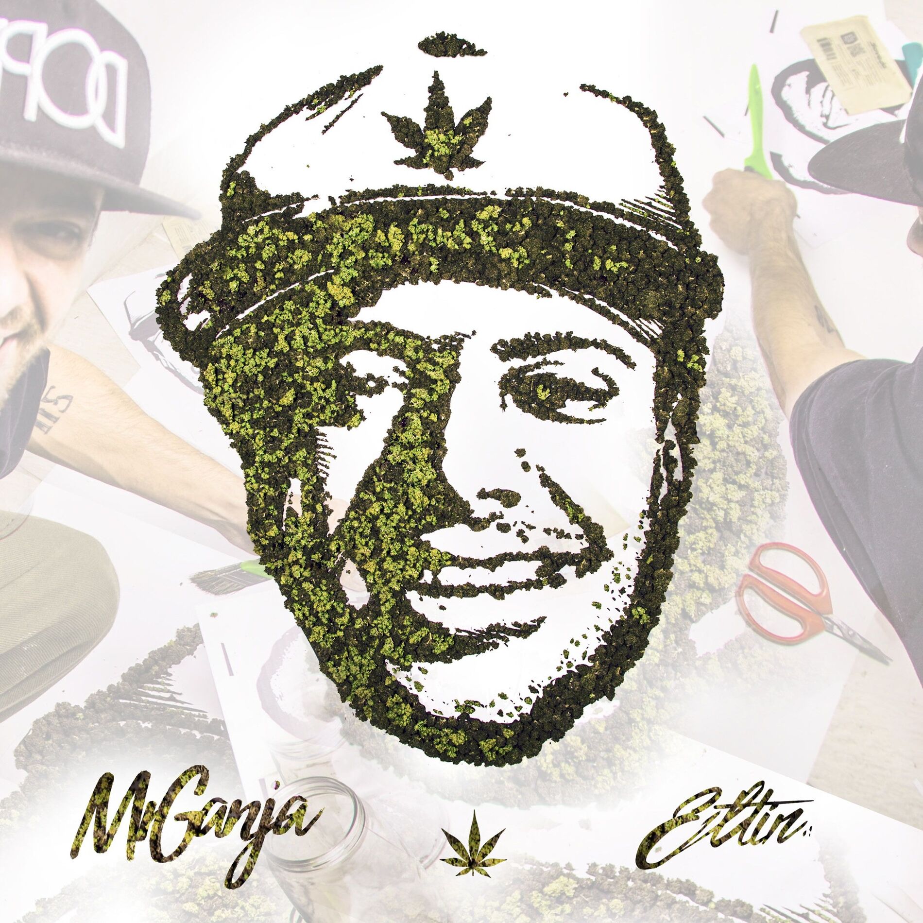 Album cover of Mr Ganja