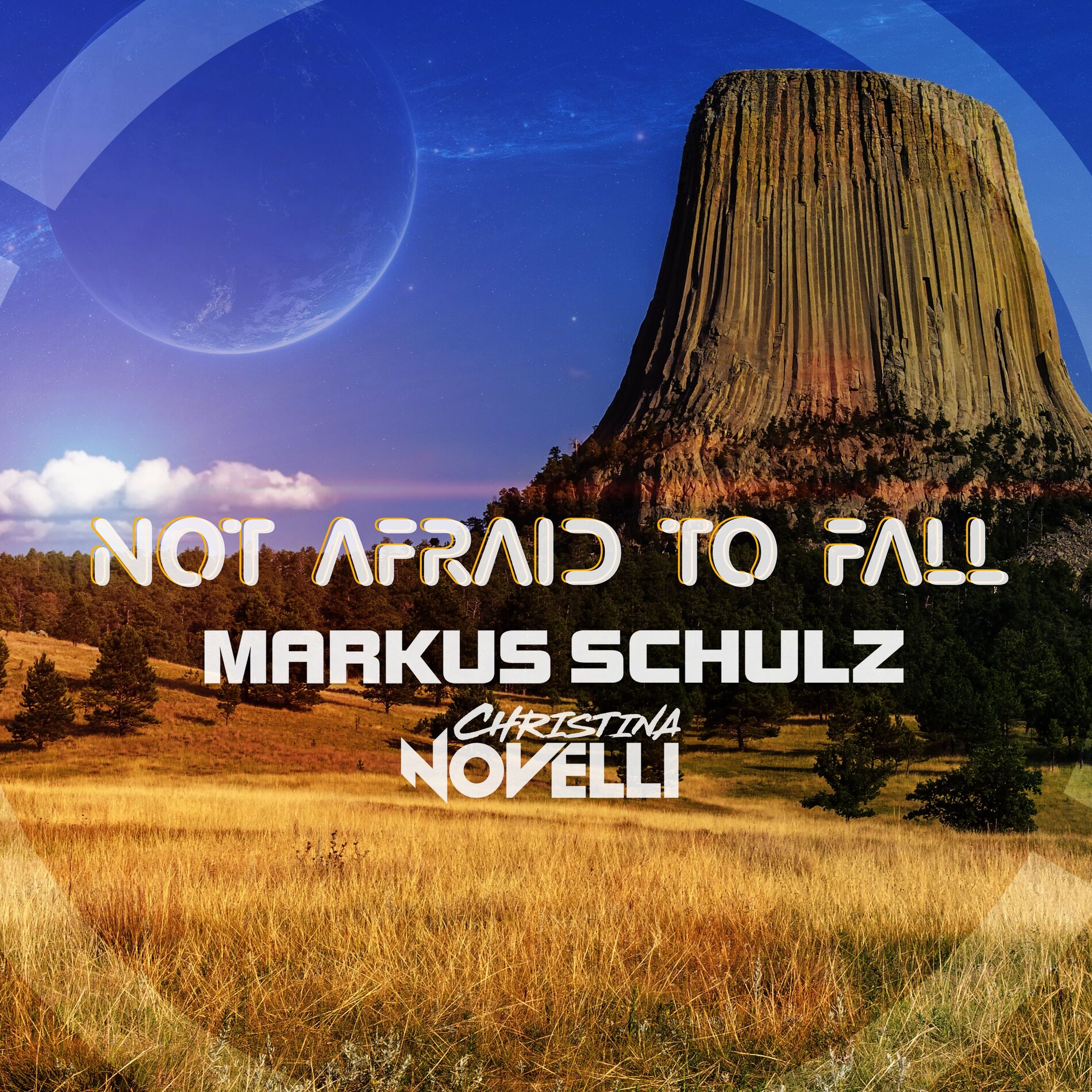 Album cover of Not Afraid to Fall