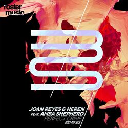 Cover of Perfect Crime (Remixes)