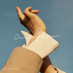 Cover of Overflow