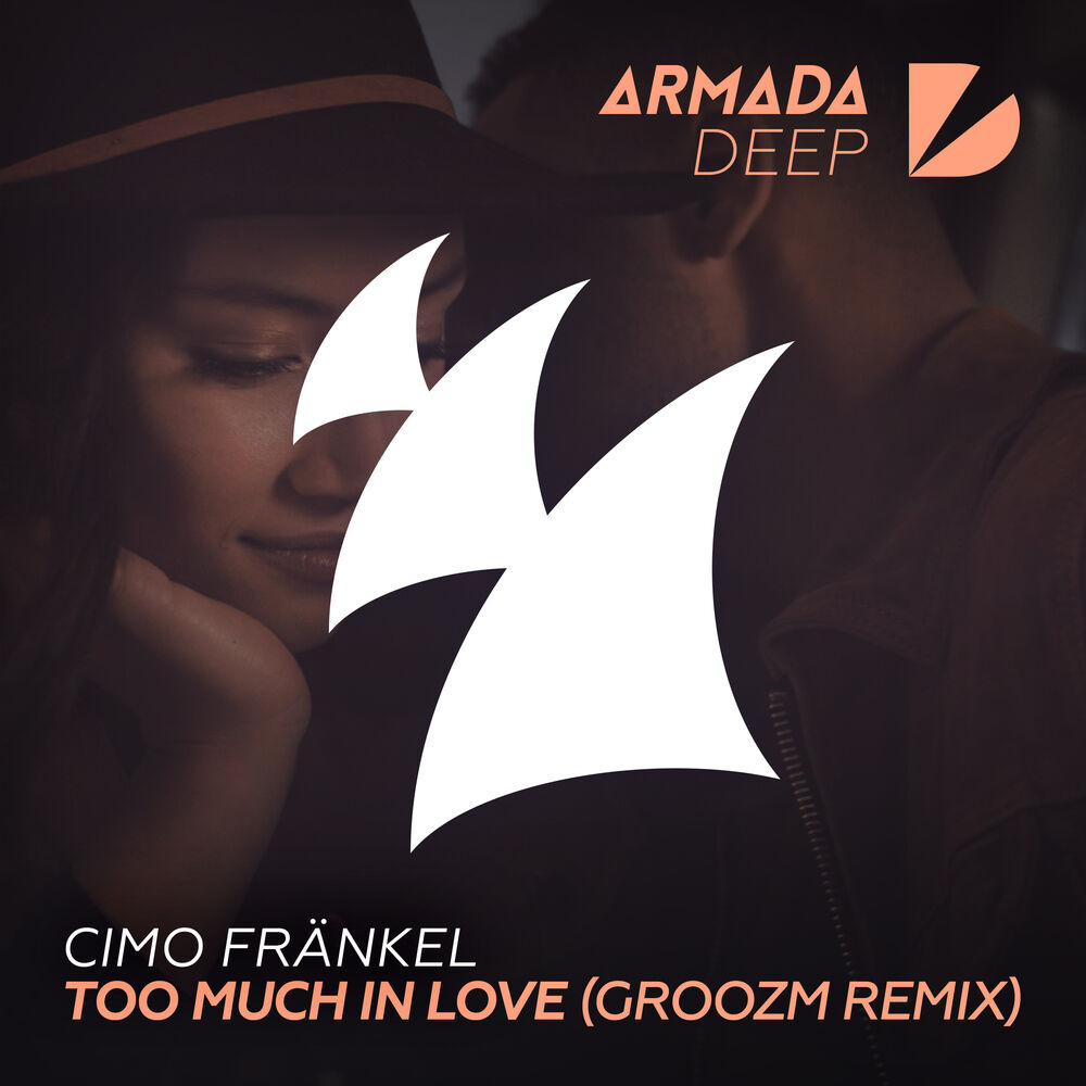 Picture of Too Much In Love (GROOZM Remix)