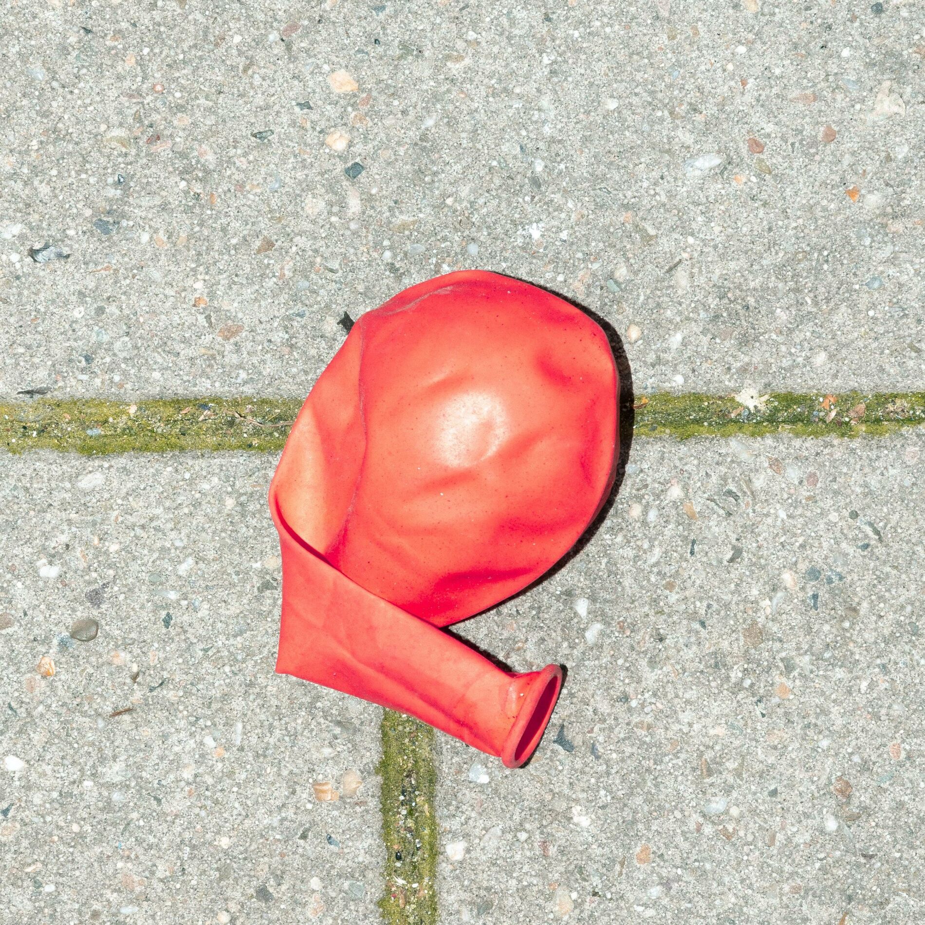 Album cover of Circus Circus (feat. John Massa)