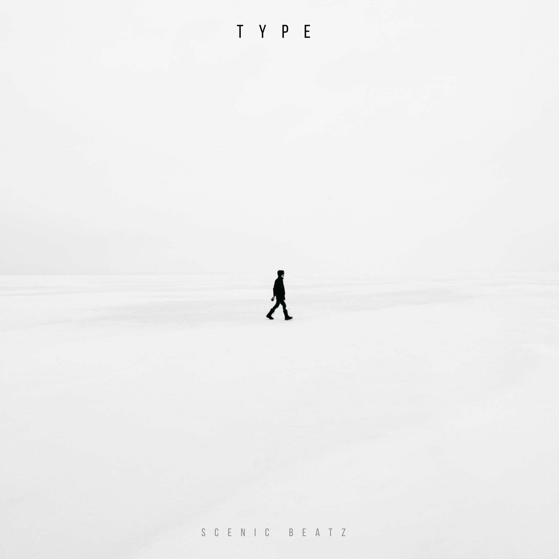 Album cover of type