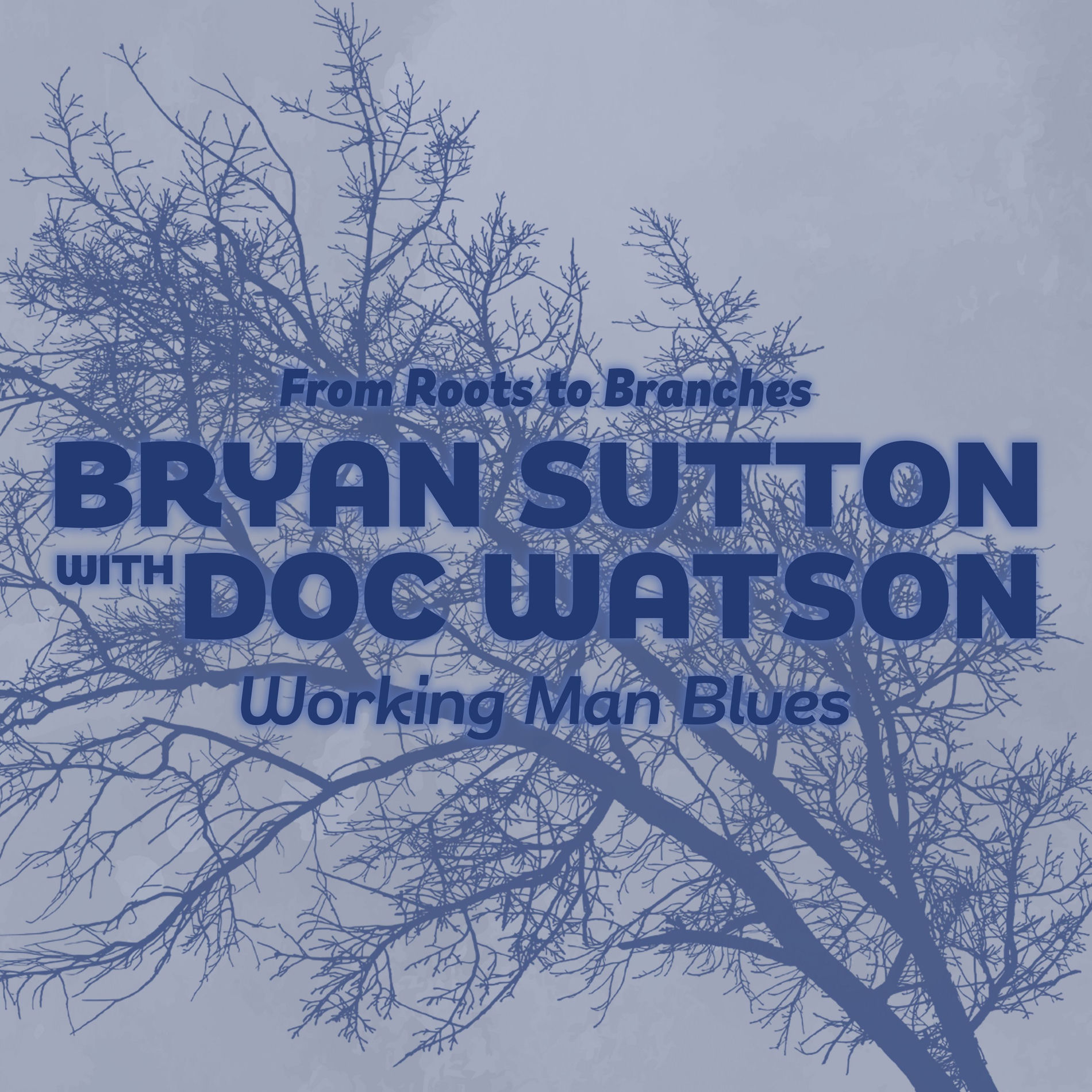 Album cover of Working Man Blues