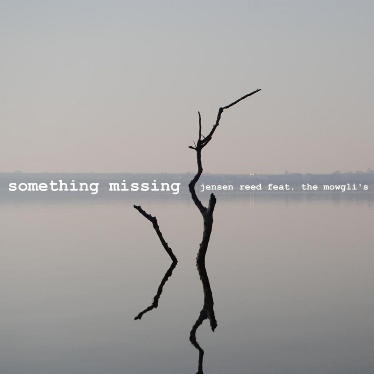 Album cover of Something Missing