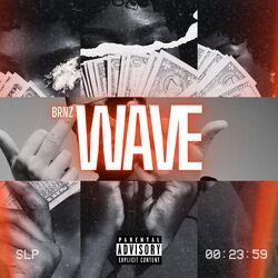 Cover of Wave