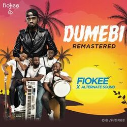 Cover of Dumebi