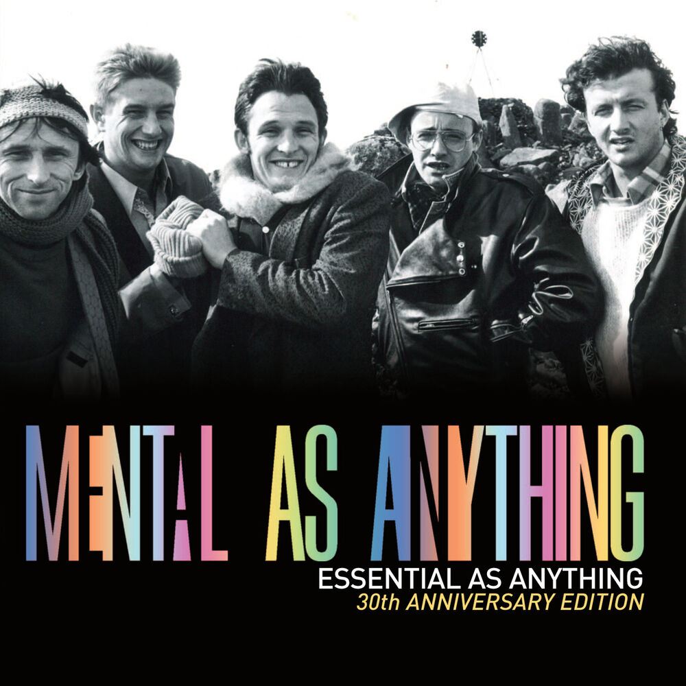 Picture of Essential as Anything (30th Anniversary Edition) [Audio Version]