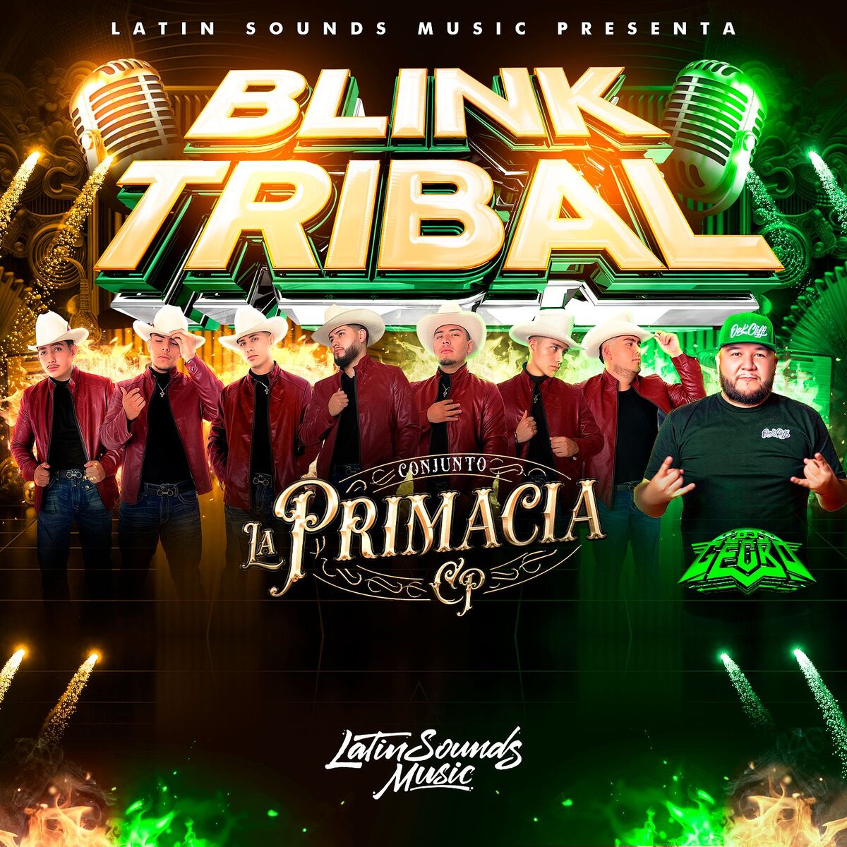 Album cover of Blink Tribal
