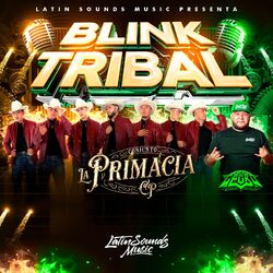 Cover of Blink Tribal
