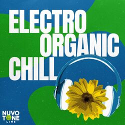 Cover of Electro-Organic Chill
