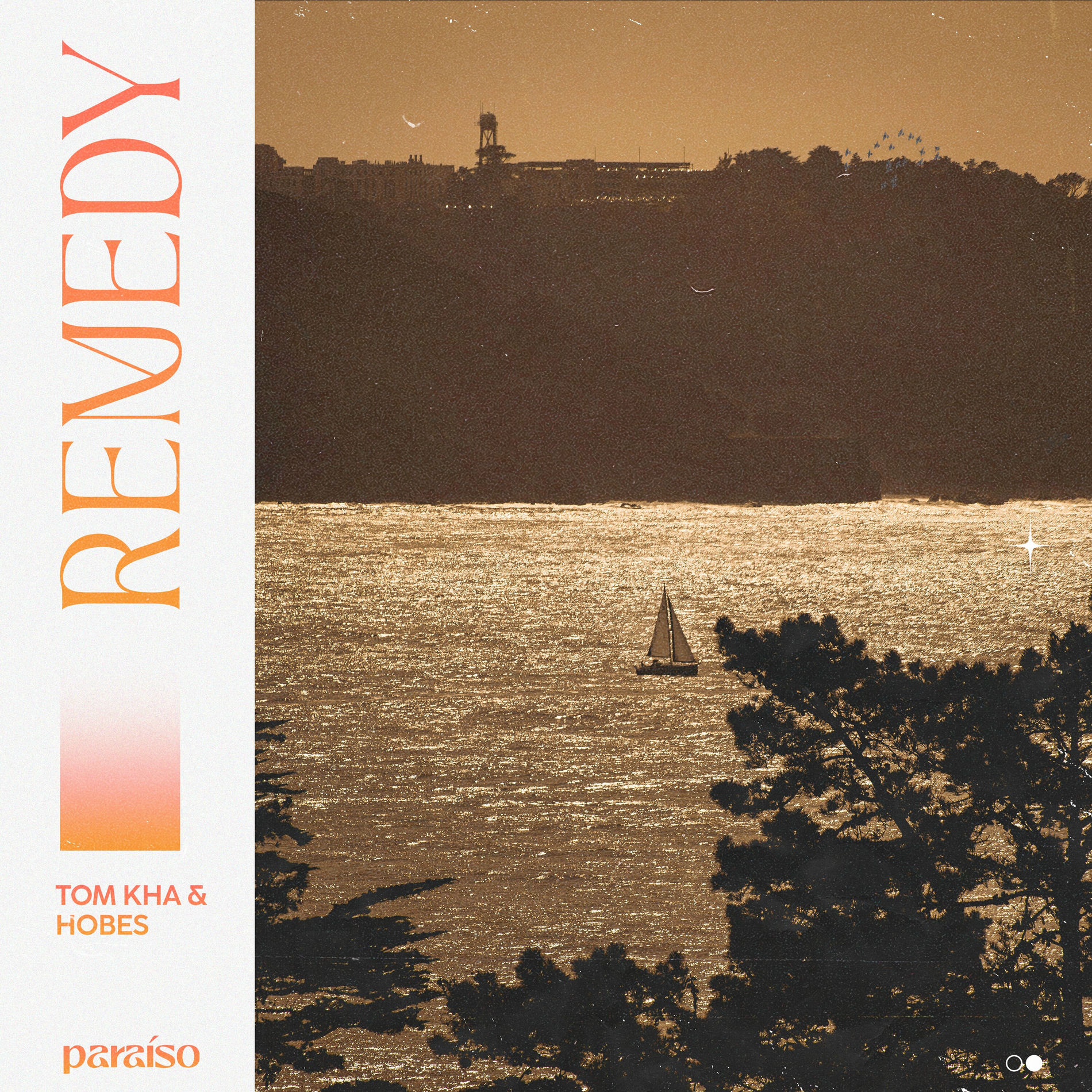 Album cover of Remedy