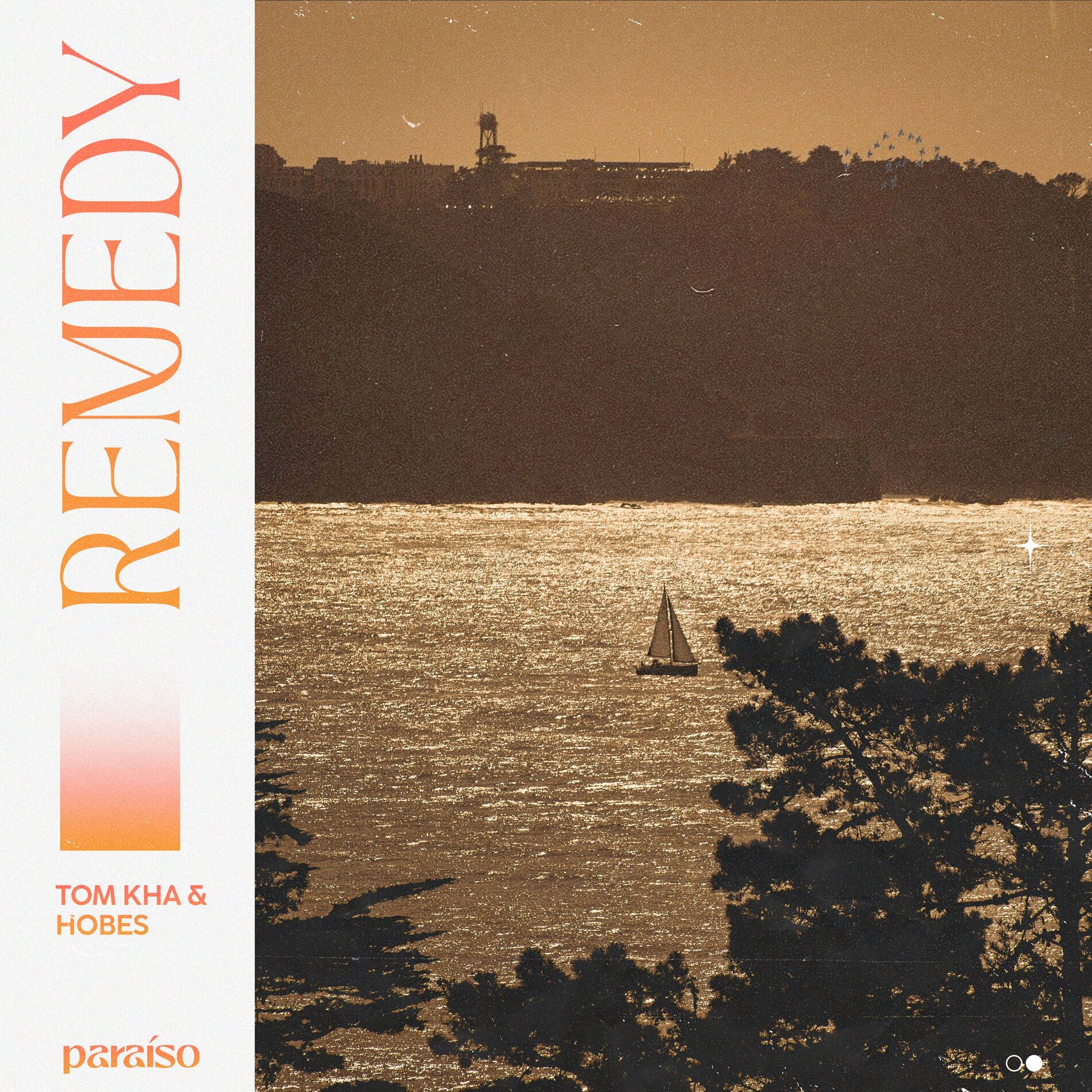 Album cover of Remedy