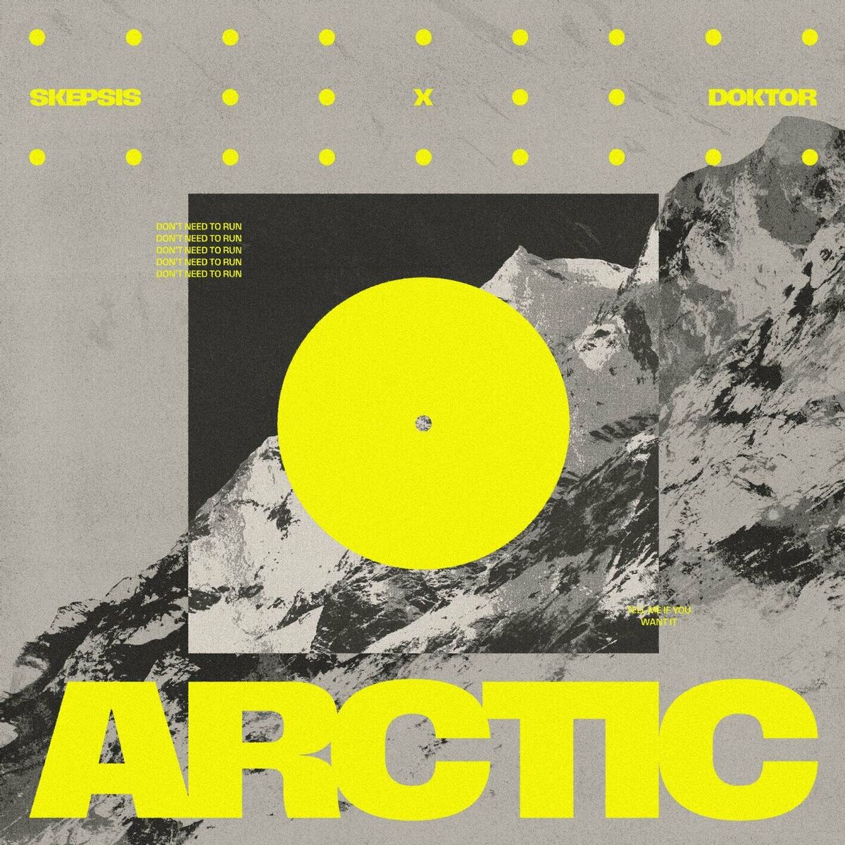 Album cover of Arctic