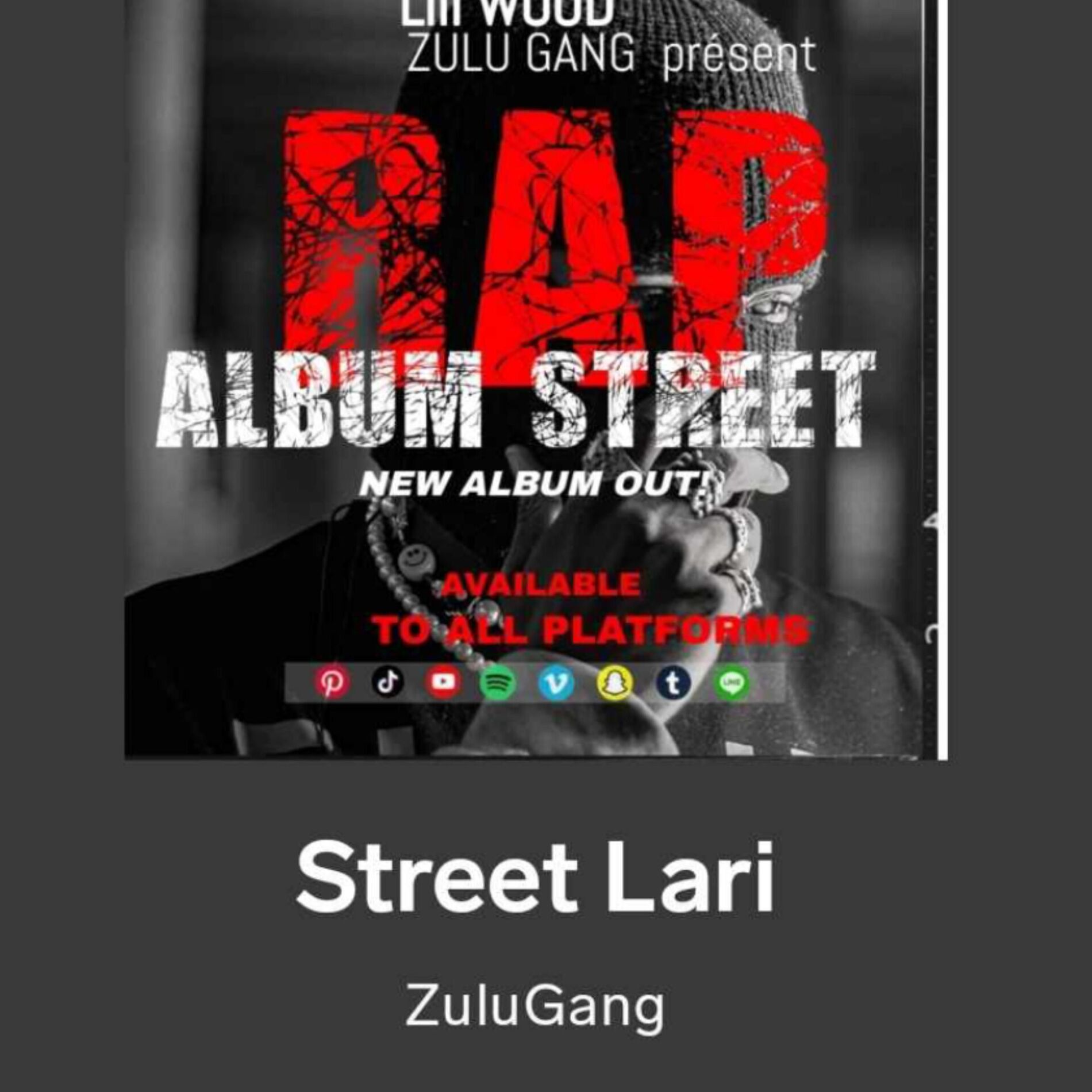 Album cover of Street Lari