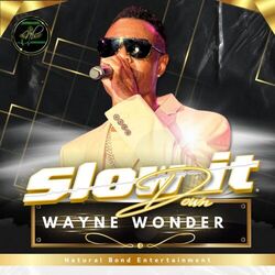 Cover of Slow It Down