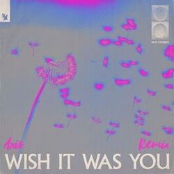 Cover of Wish It Was You (Axis Remix)