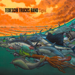 Cover of Signs