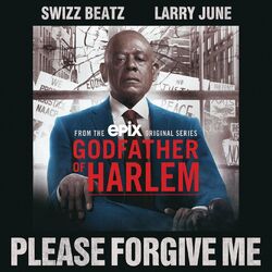 Cover of Please Forgive Me (feat. Swizz Beatz & Larry June)