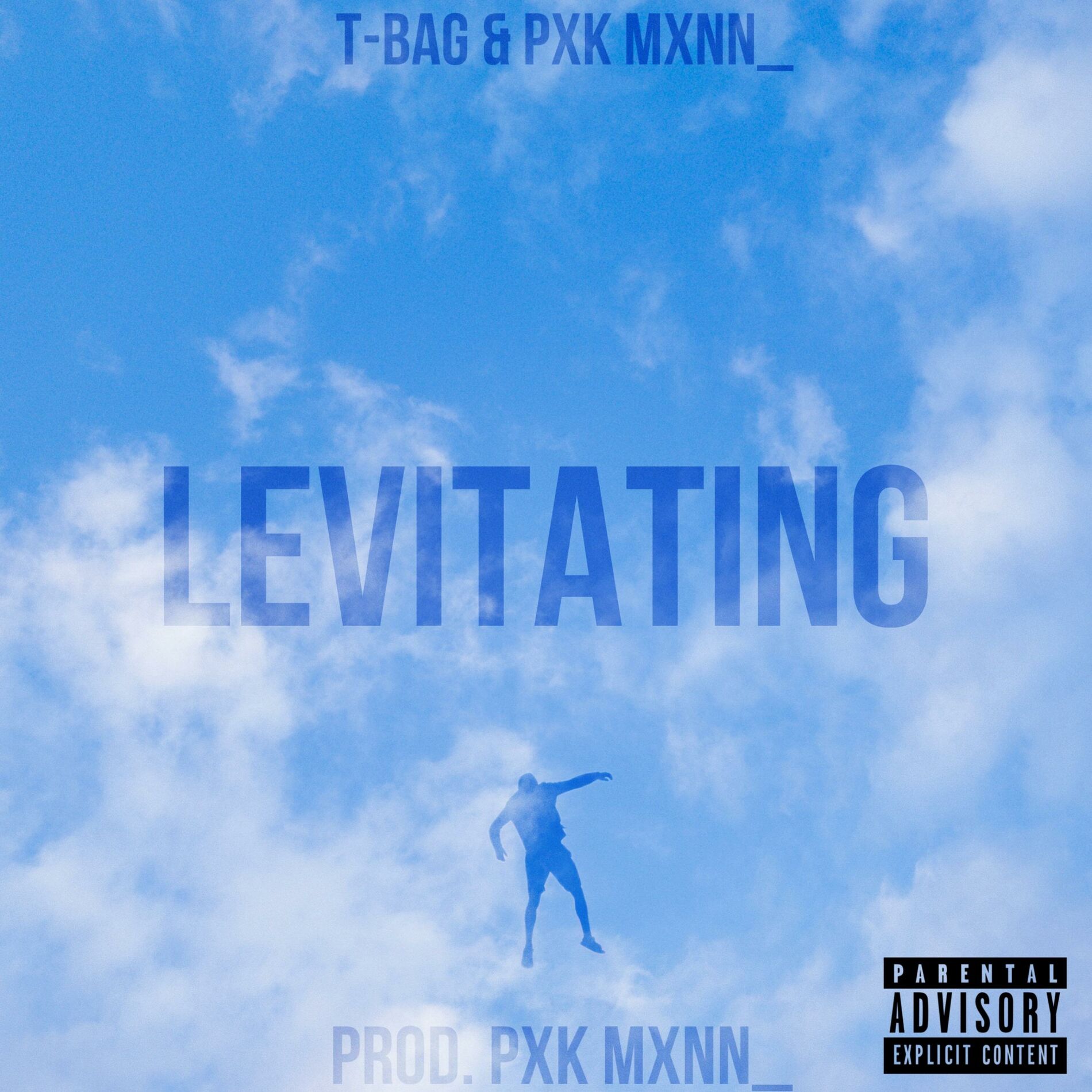Album cover of Levitating