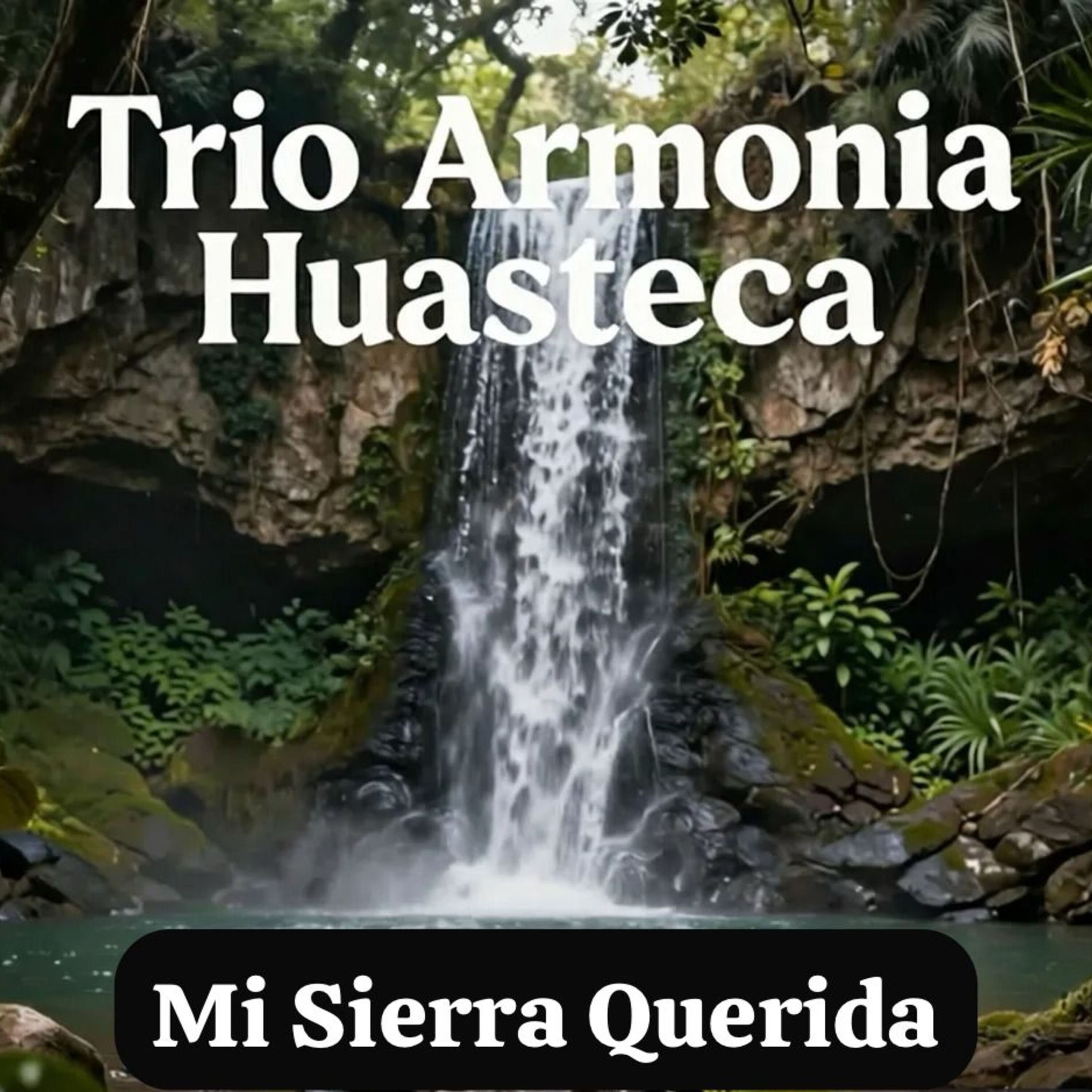 Album cover of Mi Sierra Querida
