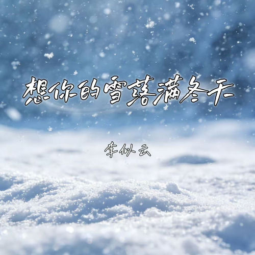 想你的雪落满冬天