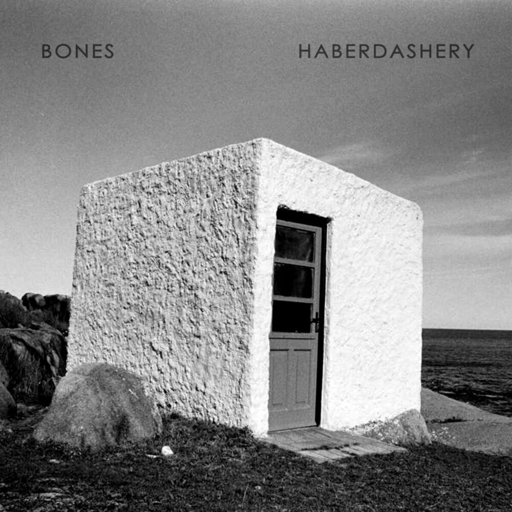 Picture of Bones