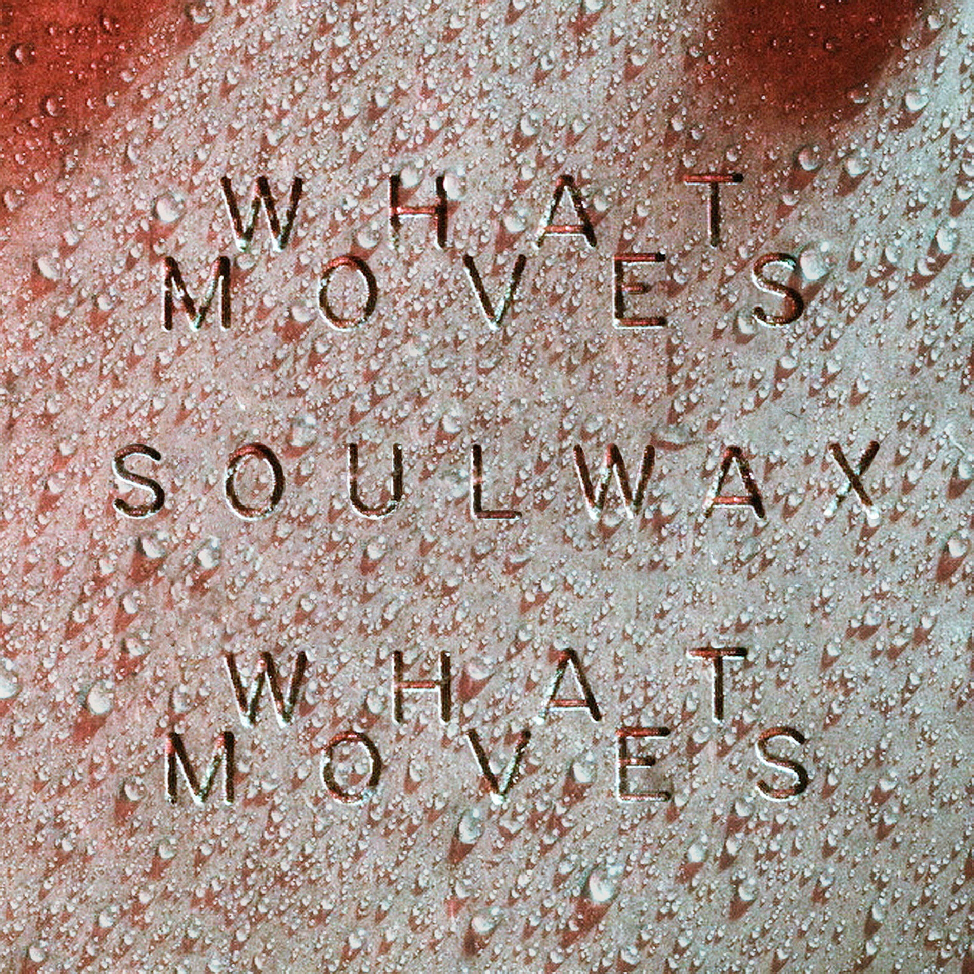 Album cover of What Moves (Soulwax Remix)