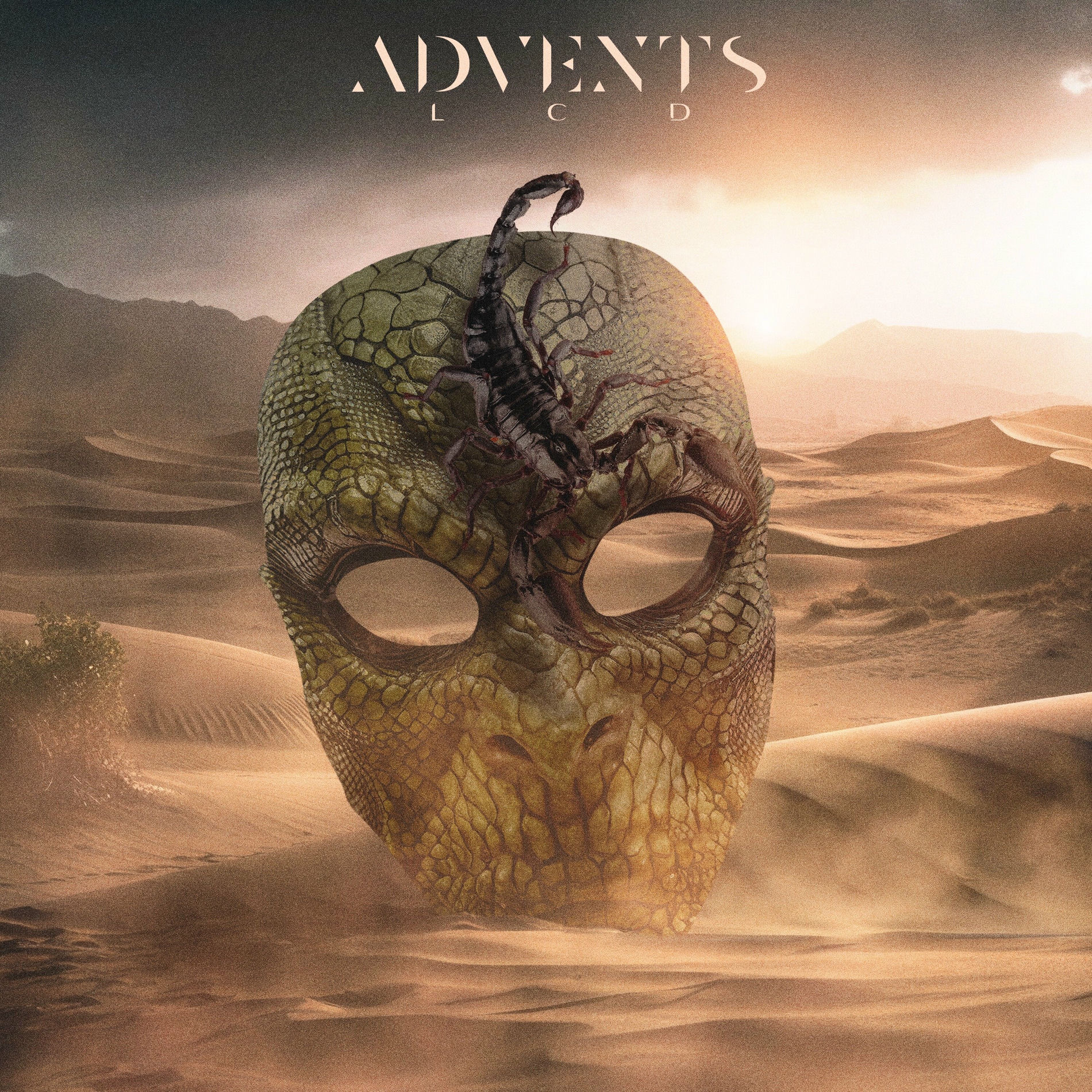Album cover of LCD