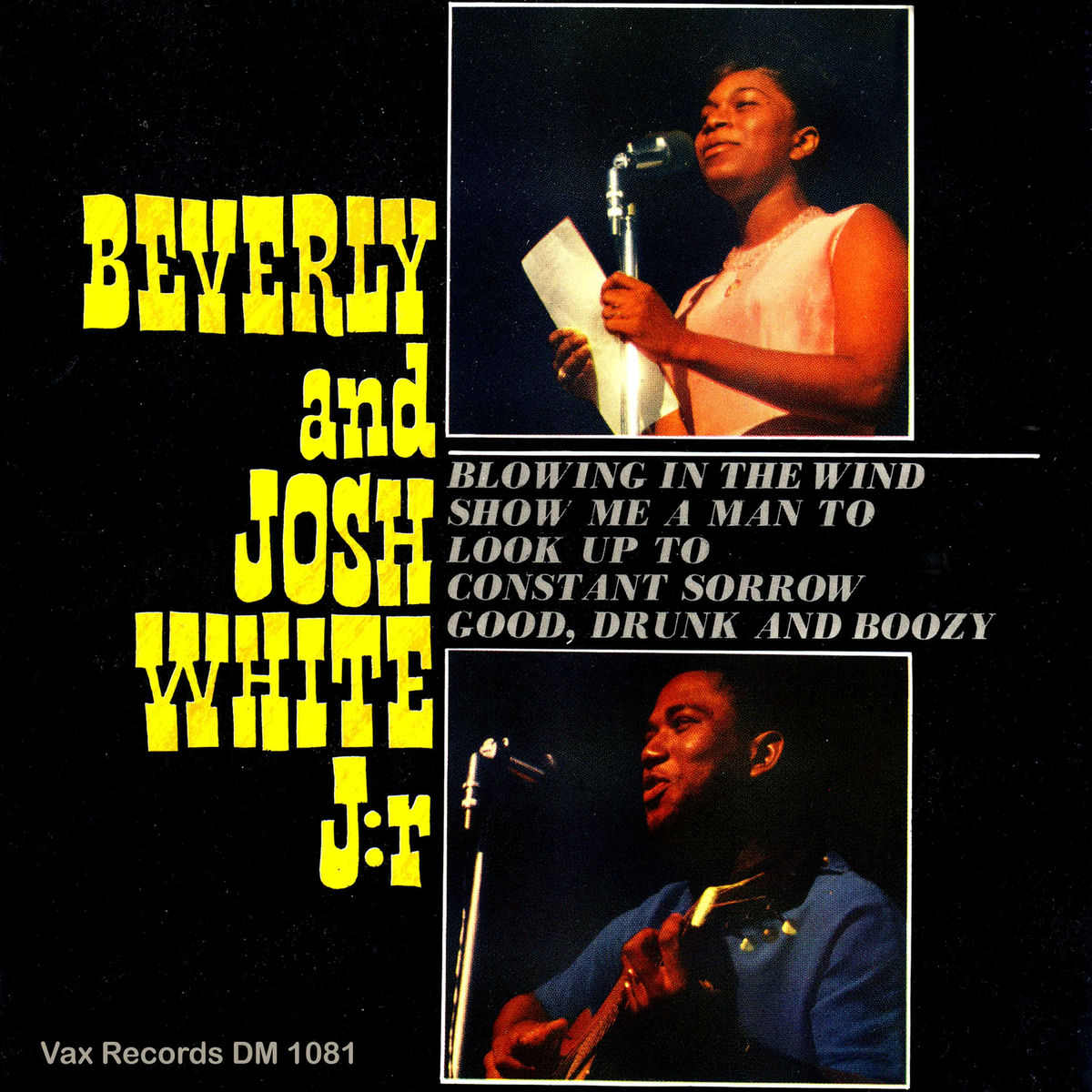 Album cover of Blowing in the Wind (Remastered)